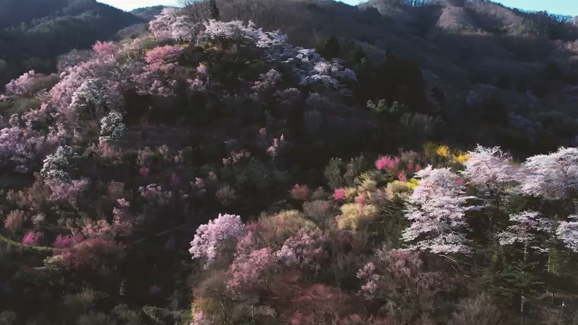 F-MICEプロモーションムービー